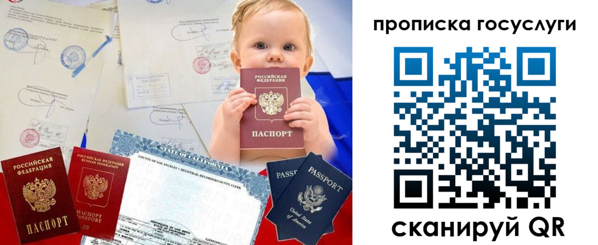 прописка поиск в Балашихе